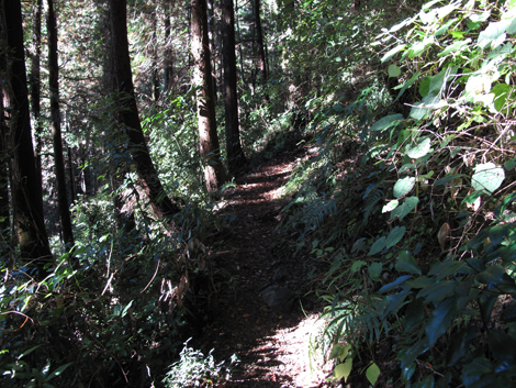 20151127hike (45)